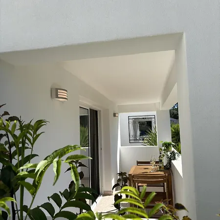 Casa Olga Appartement
